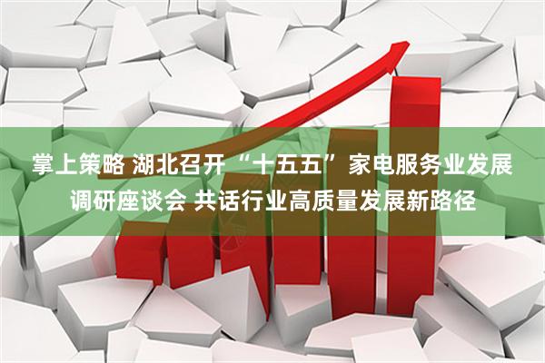 掌上策略 湖北召开 “十五五” 家电服务业发展调研座谈会 共话行业高质量发展新路径